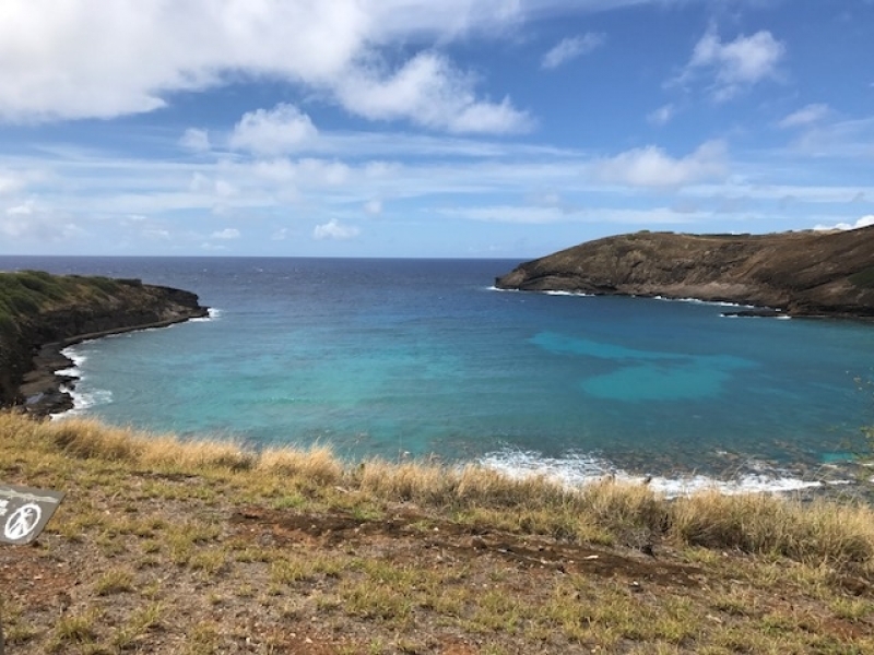 社員旅行　IN　Hawaii　③